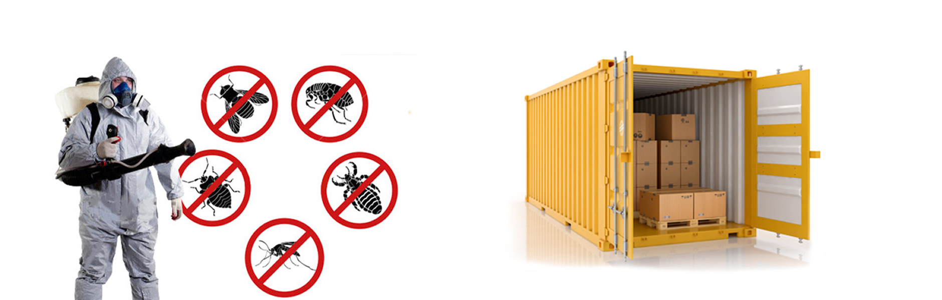 CONTAINER FUMIGATION